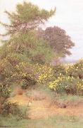 George Marks At the Edge of Shere Heath (mk46) Spain oil painting artist